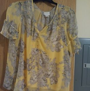 Sheer blouse with cami